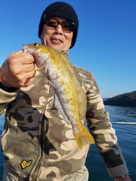 Magic（マジック） 釣果