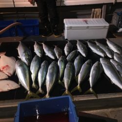 幸風（さちかぜ） 釣果