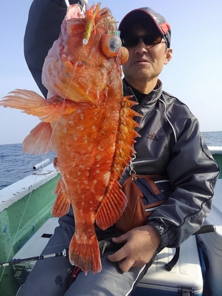 遊漁船 新鋭丸 釣果