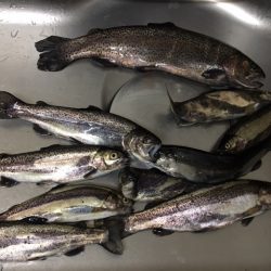 狭いが、そこそこ釣れて楽しめる