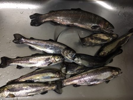 狭いが、そこそこ釣れて楽しめる