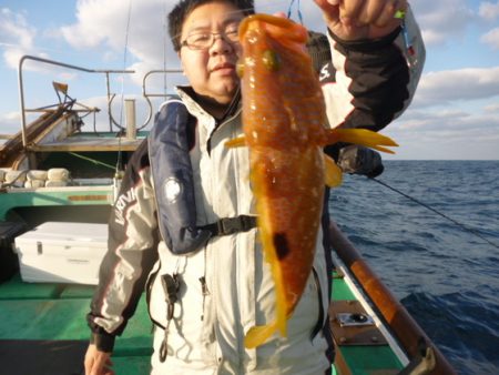 真祐丸 (しんゆうまる) 釣果