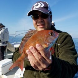 遊漁船 ニライカナイ 釣果