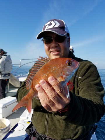 遊漁船 ニライカナイ 釣果