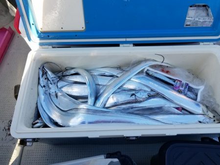 遊漁船　ニライカナイ 釣果