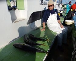 久里浜黒川本家 釣果