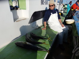 久里浜黒川本家 釣果