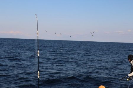 へいみつ丸 釣果