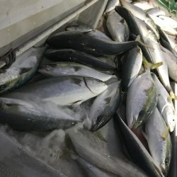 寿裕 （YOSHIHIRO） 釣果