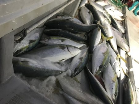 寿裕 （YOSHIHIRO） 釣果