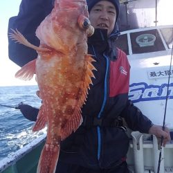 遊漁船 新鋭丸 釣果