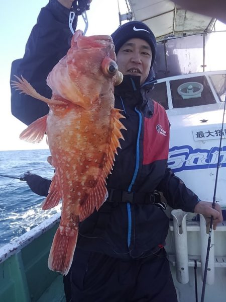 遊漁船 新鋭丸 釣果