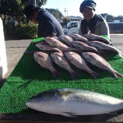 カタタのつり堀 釣果