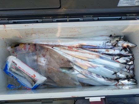 遊漁船　ニライカナイ 釣果