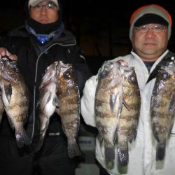 TOPGUN名古屋 釣果