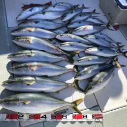 ふじしめ丸 釣果