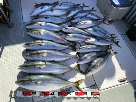 ふじしめ丸 釣果