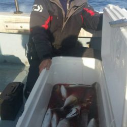 第五慶門丸 釣果