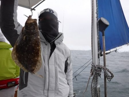 遊漁船 幸友丸 釣果