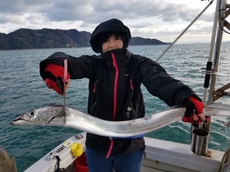 遊漁船　ニライカナイ 釣果