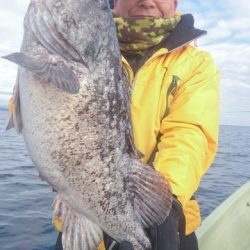 気仙沼 つり丸 釣果