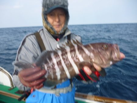 真祐丸 (しんゆうまる) 釣果