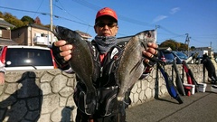 まこと渡船 釣果