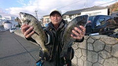 まこと渡船 釣果