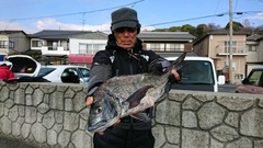 まこと渡船 釣果