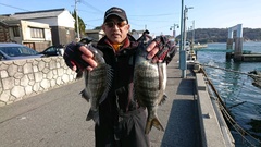 まこと渡船 釣果