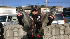 まこと渡船 釣果