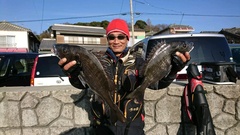 まこと渡船 釣果