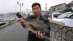 まこと渡船 釣果