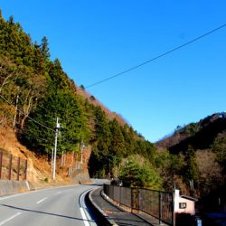 小菅トラウトガーデン 釣果