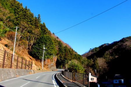 小菅トラウトガーデン 釣果