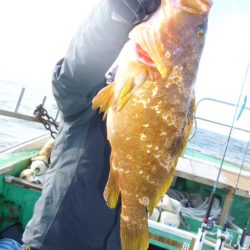 真祐丸 (しんゆうまる) 釣果