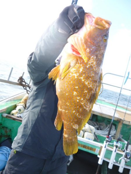 真祐丸 (しんゆうまる) 釣果