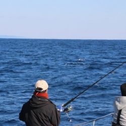 へいみつ丸 釣果