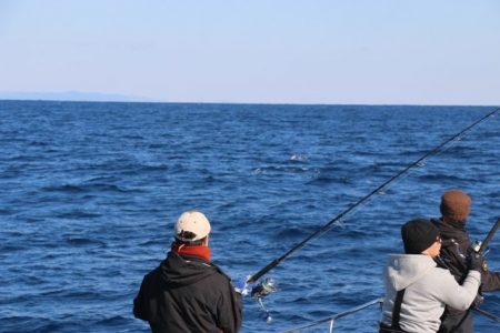 へいみつ丸 釣果