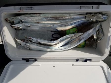 遊漁船　ニライカナイ 釣果