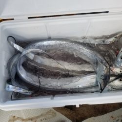 遊漁船　ニライカナイ 釣果