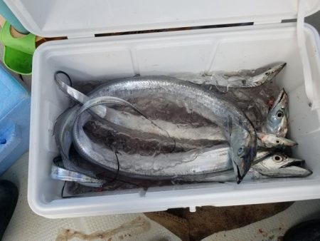 遊漁船　ニライカナイ 釣果