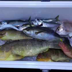 ジギング 山陰・境港〜島根半島沖にて根魚狙い 【ARMS『EZ-DAGGER(イージー・ダガー)』モニターレポート】