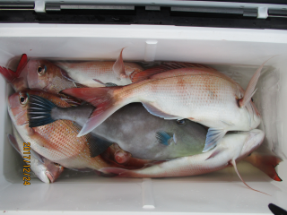 なかくに丸 釣果