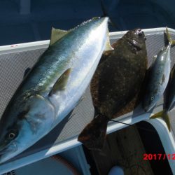 まとばや 釣果