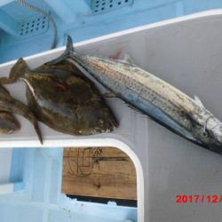 まとばや 釣果