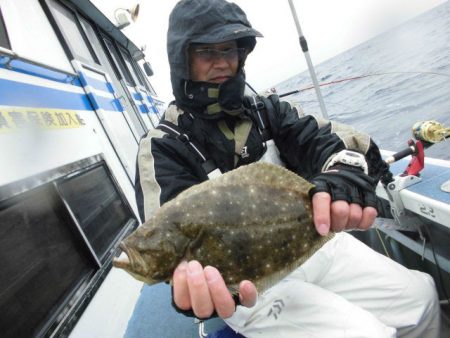大進丸（愛知） 釣果