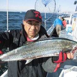 大進丸（愛知） 釣果