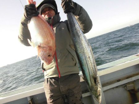 大進丸（愛知） 釣果