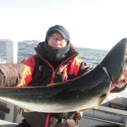 大進丸（愛知） 釣果